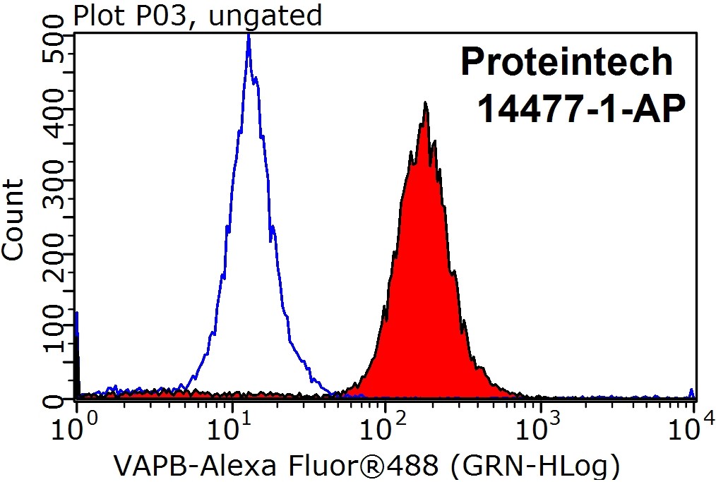 VAPB Polyclonal antibody