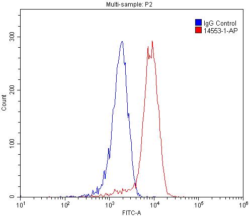 CD13 Polyclonal antibody