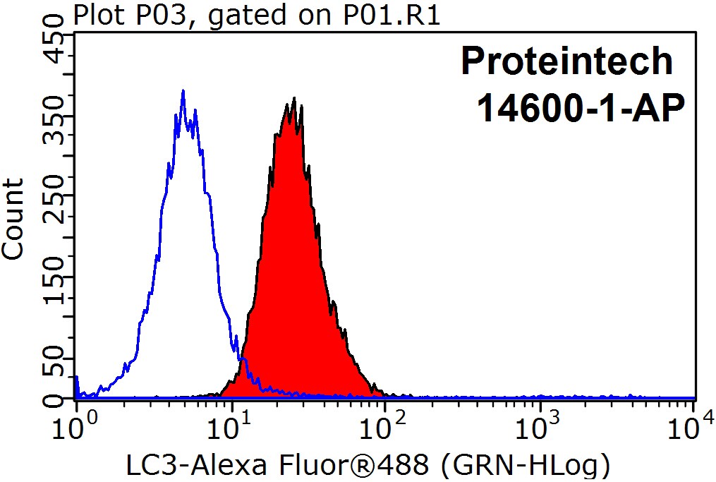 LC3 Polyclonal antibody
