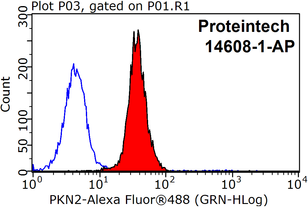 PKN2 Polyclonal antibody