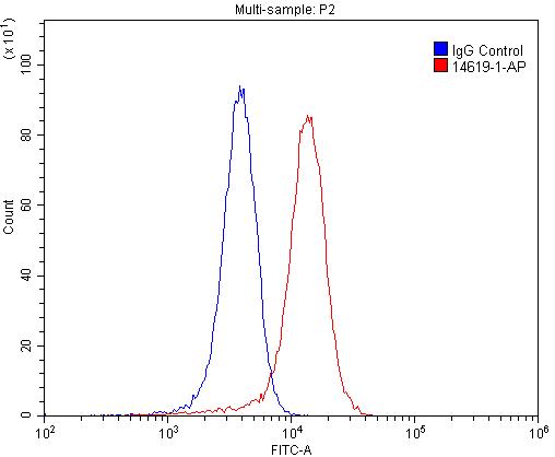 NMUR1 Polyclonal antibody