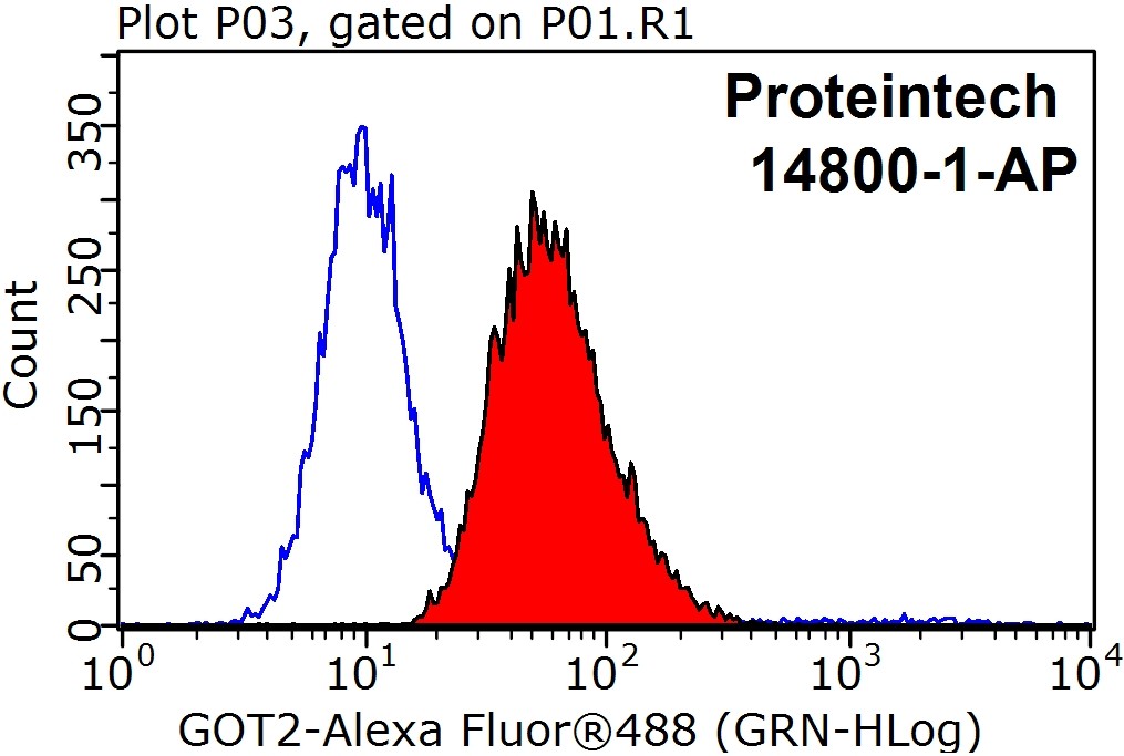 GOT2 Polyclonal antibody
