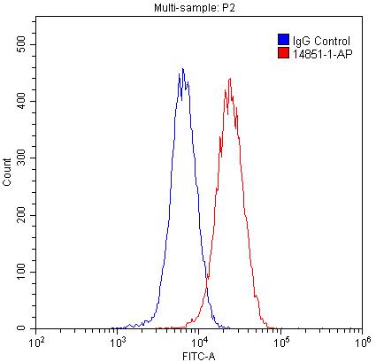 CUL4A-Specific Polyclonal antibody
