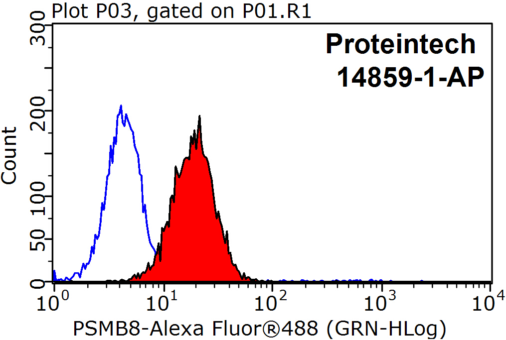 PSMB8 Polyclonal antibody