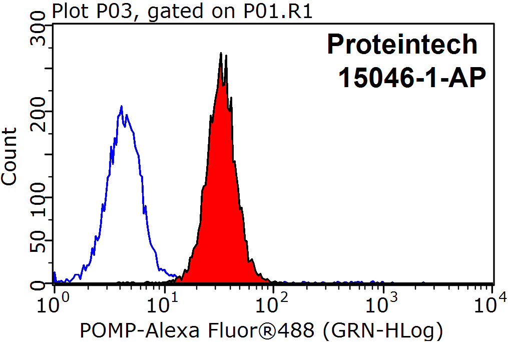 POMP Polyclonal antibody