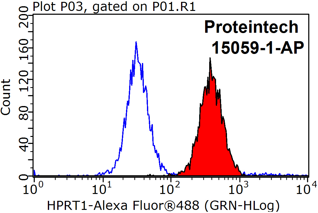 HPRT1 Polyclonal antibody