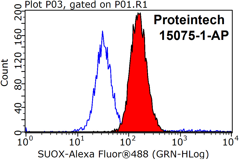 SUOX Polyclonal antibody