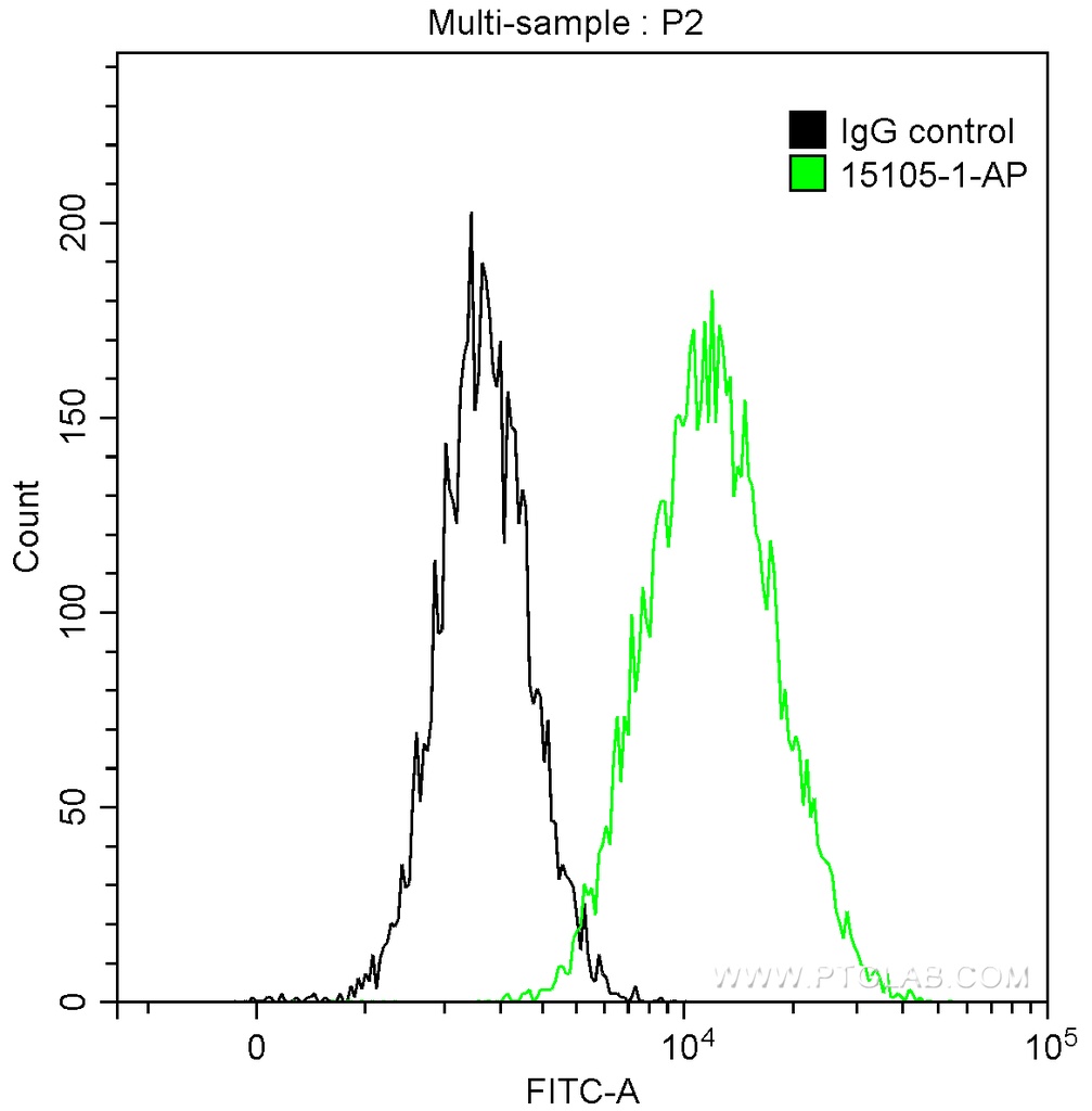 RABEPK/p40 Polyclonal antibody