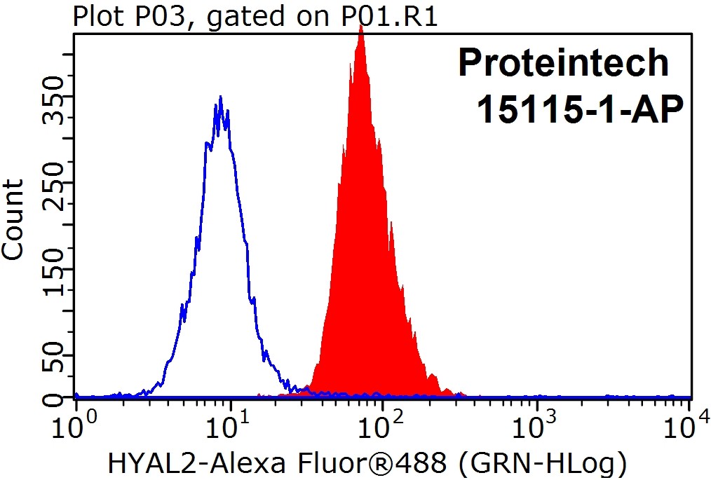 HYAL2 Polyclonal antibody