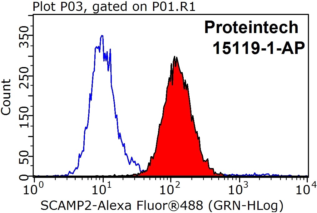 SCAMP2 Polyclonal antibody