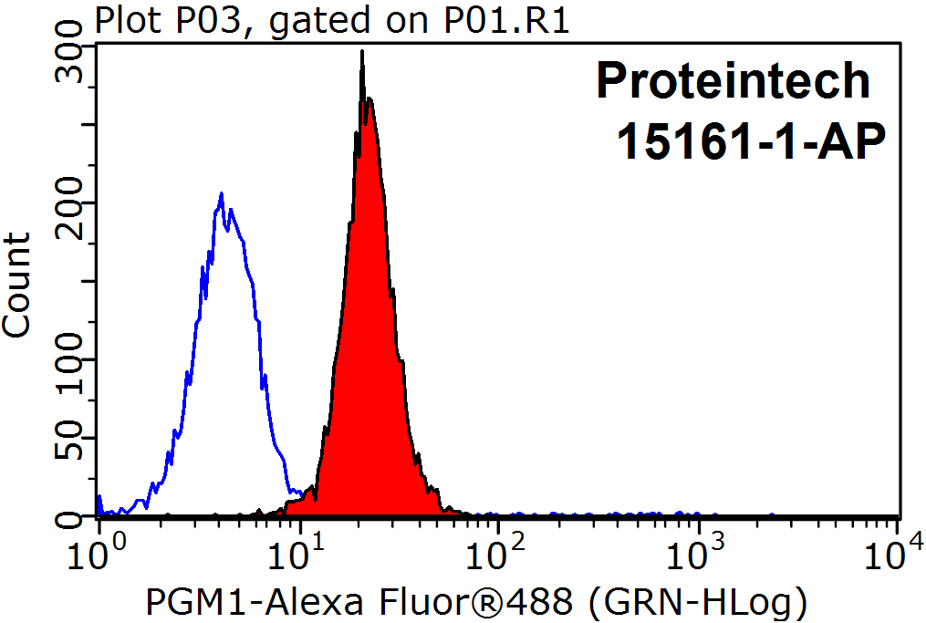 PGM1 Polyclonal antibody