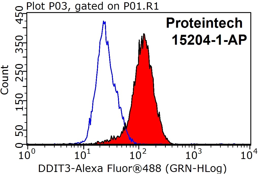 CHOP; GADD153 Polyclonal antibody