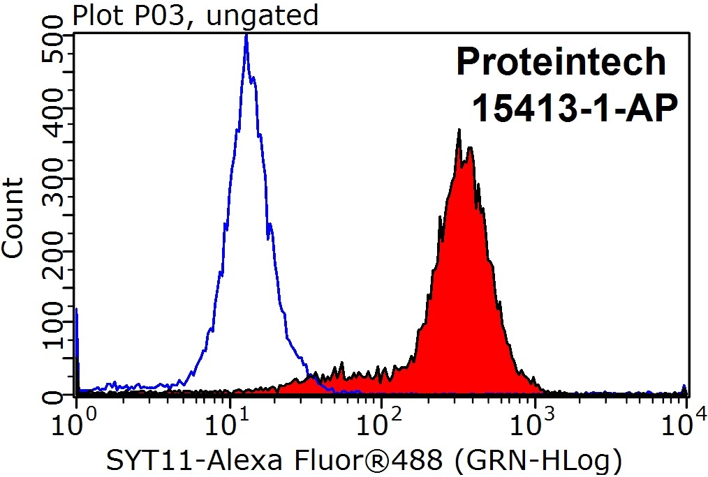 SYT17 Polyclonal antibody