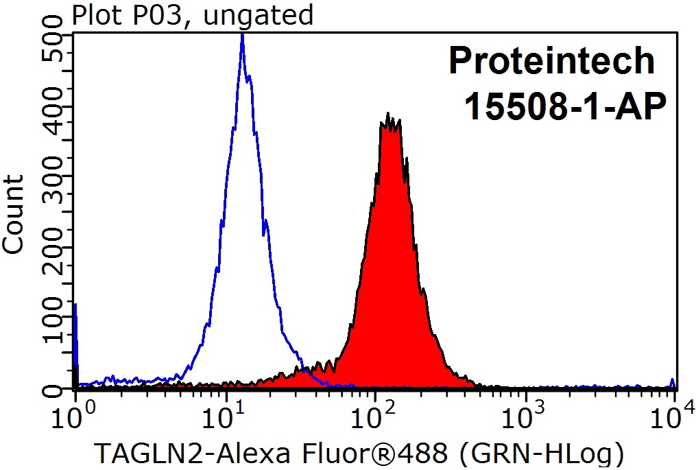 Transgelin-2-specific Polyclonal antibody