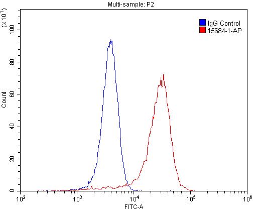 REEP2 Polyclonal antibody