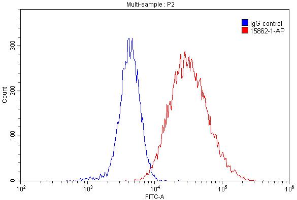 HLA-DRB1 Polyclonal antibody