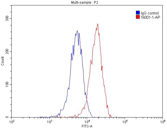Arginase-1 Polyclonal antibody