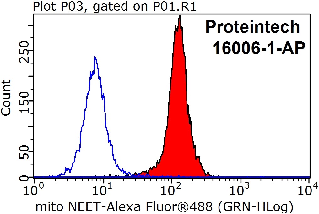 CISD1 Polyclonal antibody