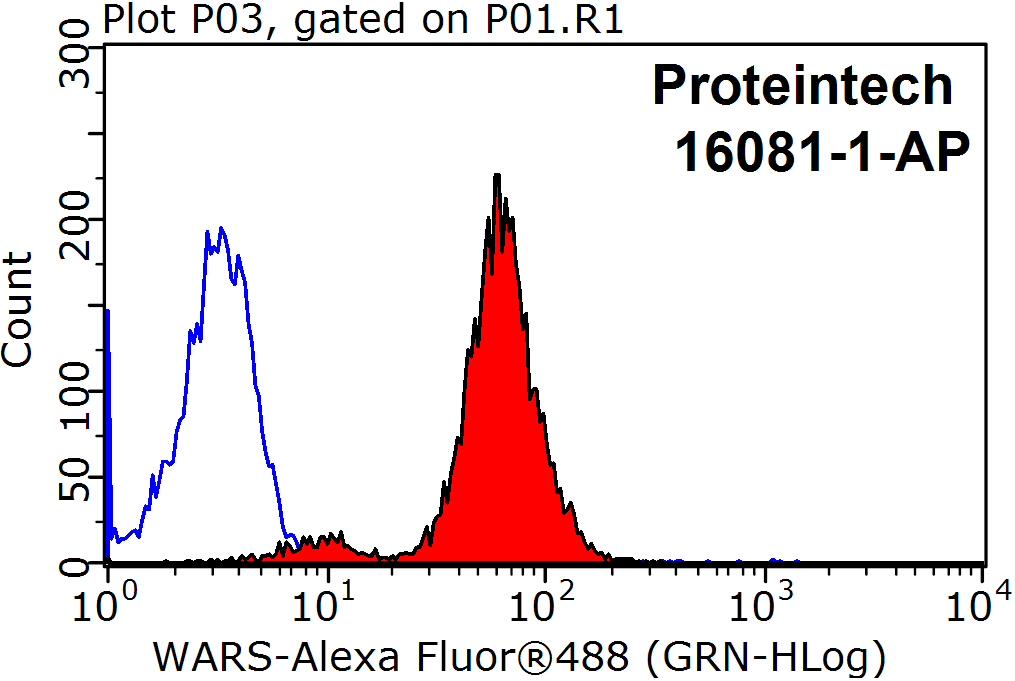 TrpRS Polyclonal antibody