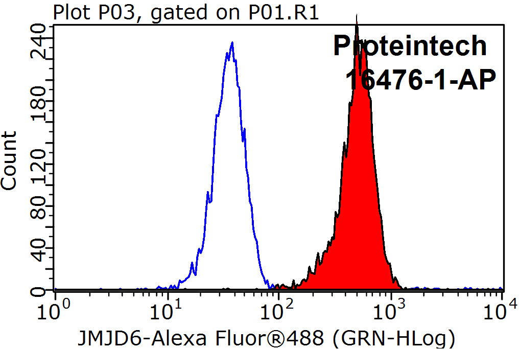 JMJD6 Polyclonal antibody