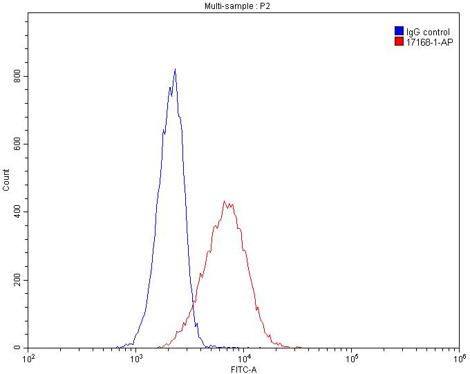 Histone-H3 Polyclonal antibody