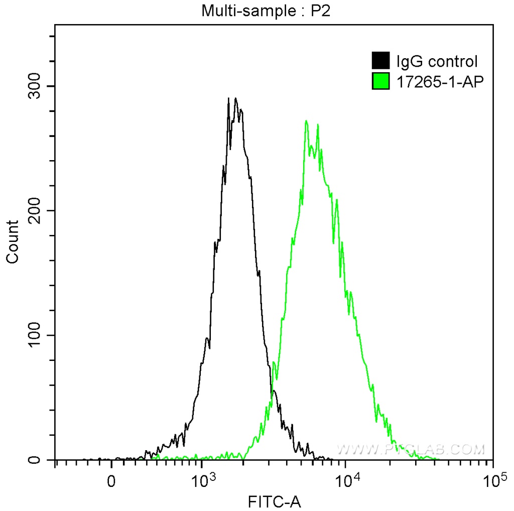 Cytokeratin 16 Polyclonal antibody