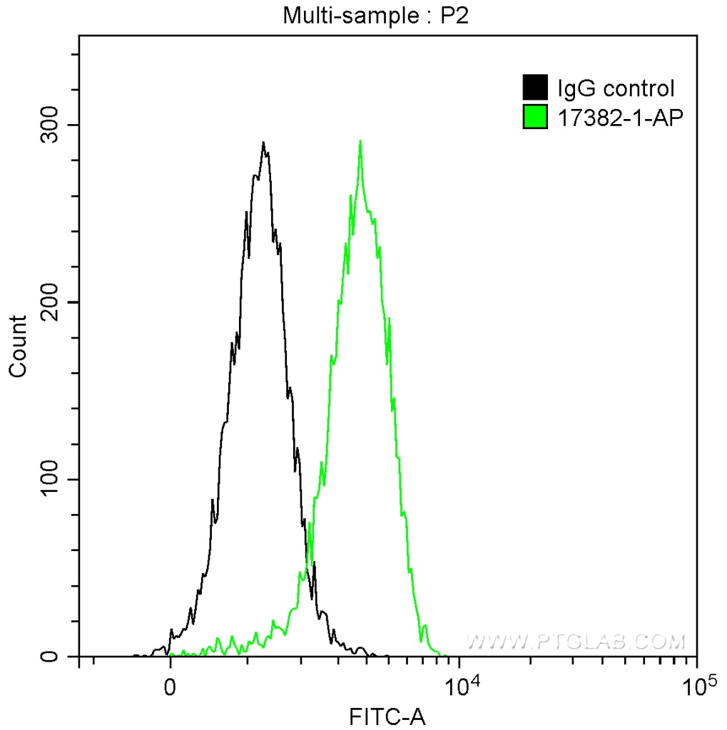 DNTT,TDT Polyclonal antibody