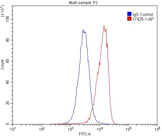 CD33 Polyclonal antibody