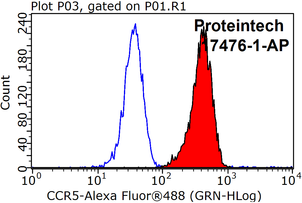 CCR5 Polyclonal antibody