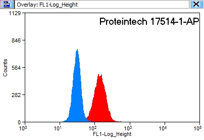 Cytokeratin 8 Polyclonal antibody