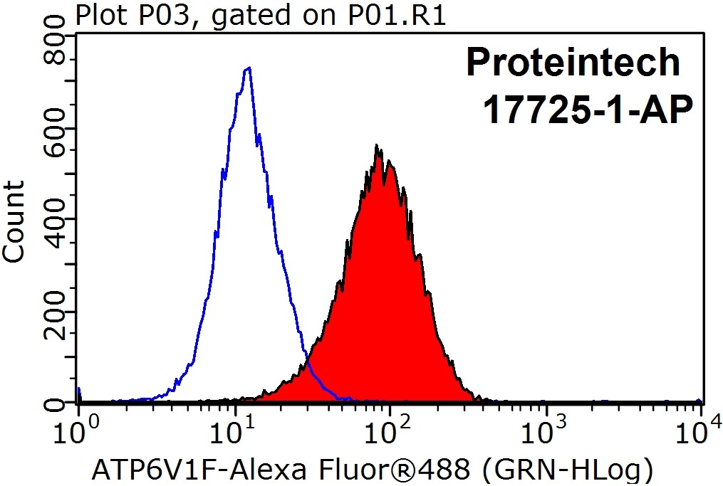 ATP6V1F Polyclonal antibody