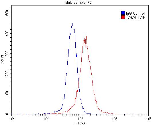 Cannabinoid receptor 1 Polyclonal antibody