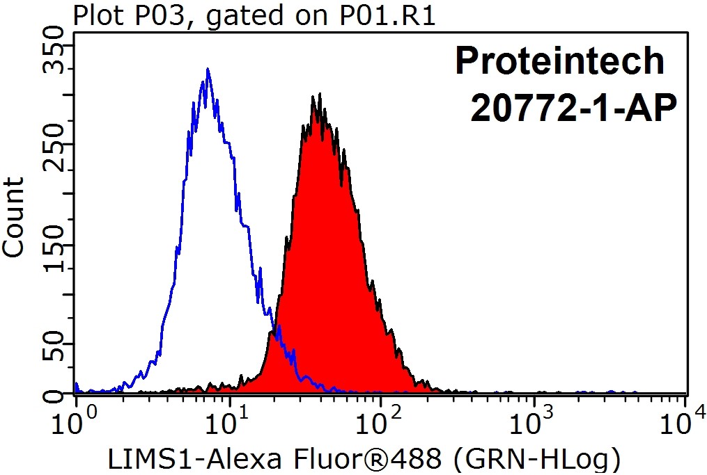 LIMS1 Polyclonal antibody