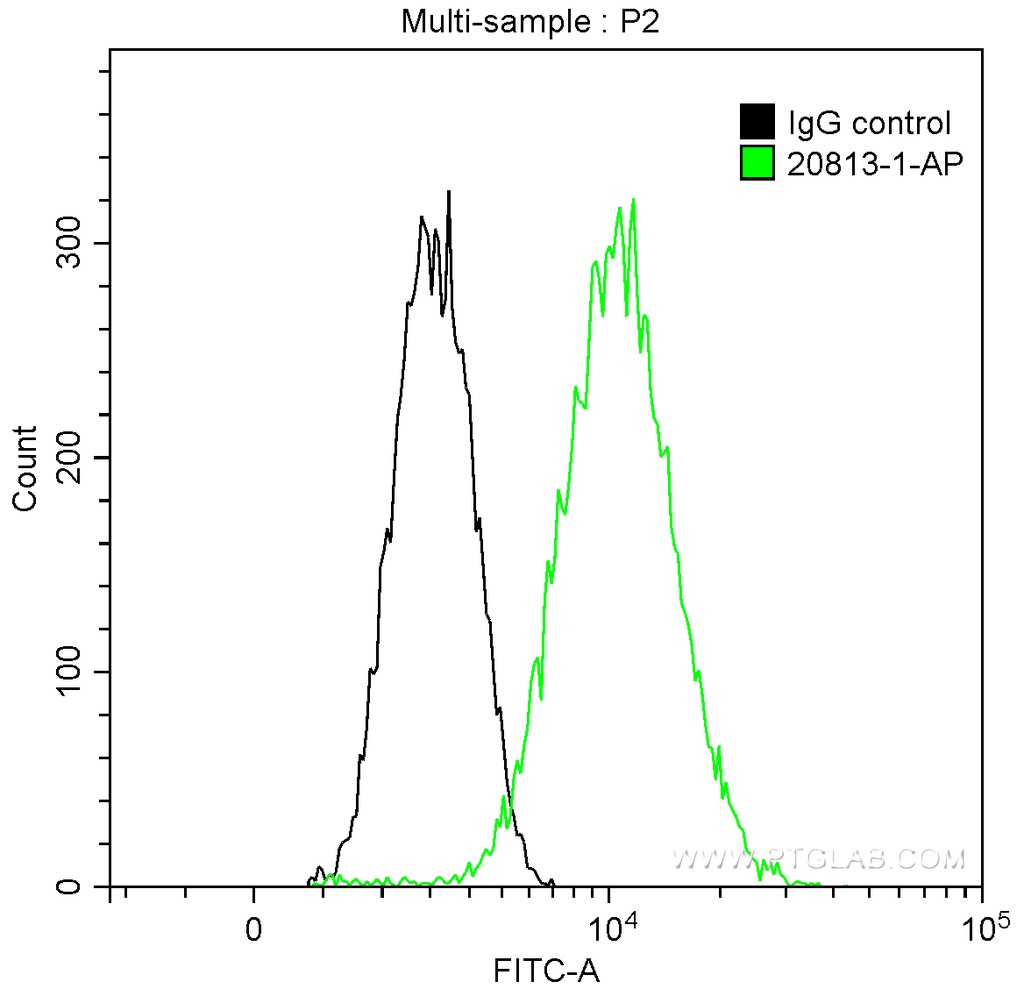 KDM1 Polyclonal antibody