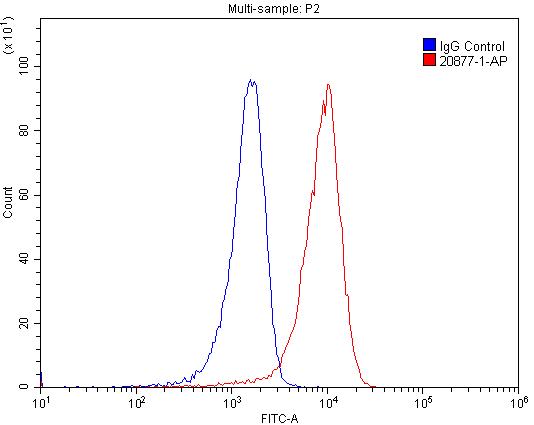PKC Epsilon Polyclonal antibody