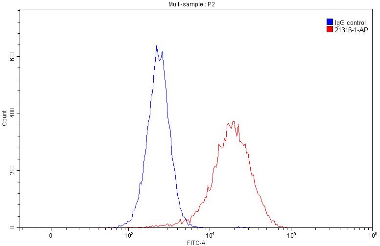 C5aR Polyclonal antibody