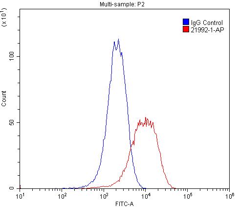 Integrin Alpha 3 Polyclonal antibody