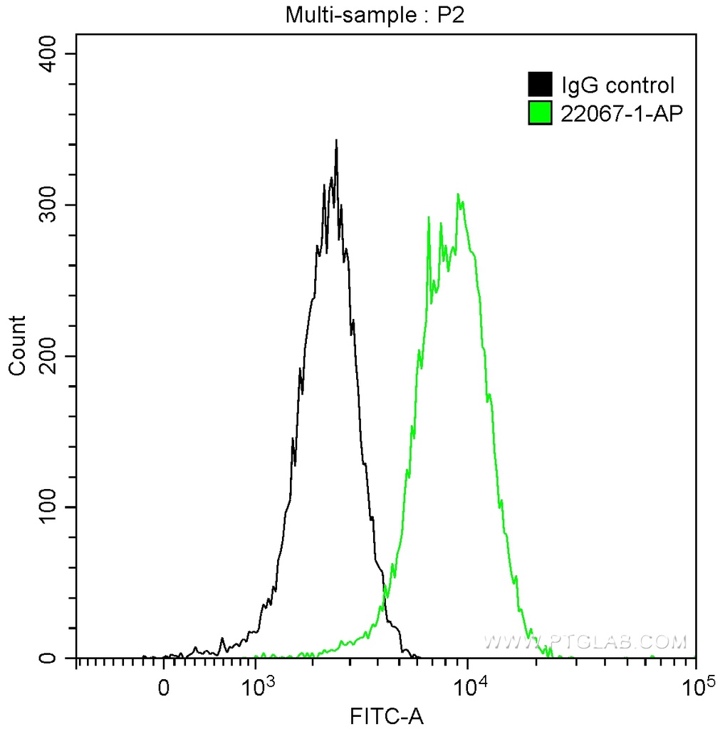 CDK8 Polyclonal antibody