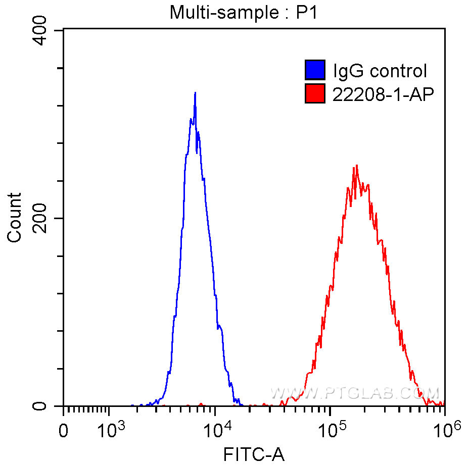 Cytokeratin 7 Polyclonal antibody