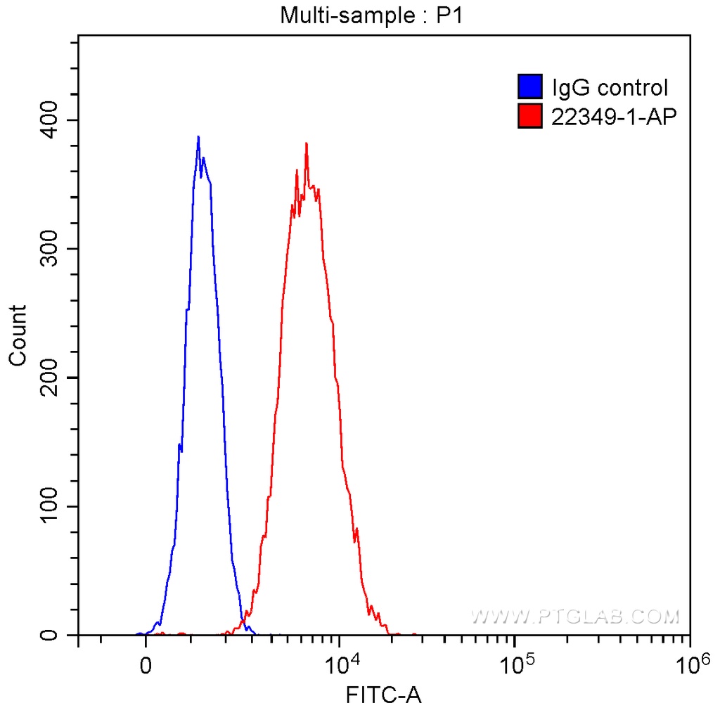 CD79A Polyclonal antibody