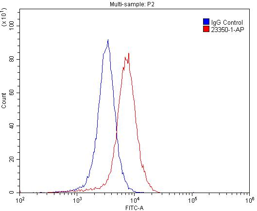 GRIA4 Polyclonal antibody