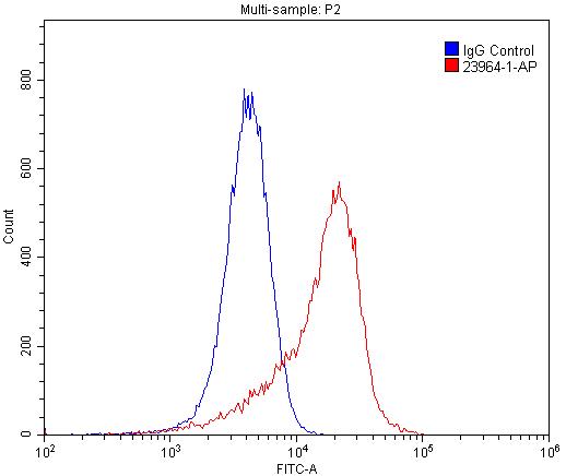 CLEC14A Polyclonal antibody