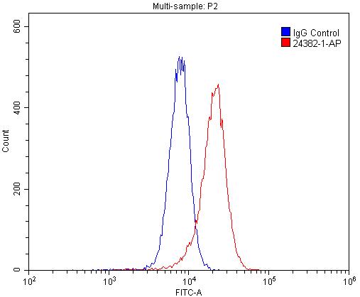 VSTM1 Polyclonal antibody