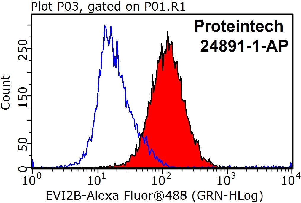 EVI2B Polyclonal antibody
