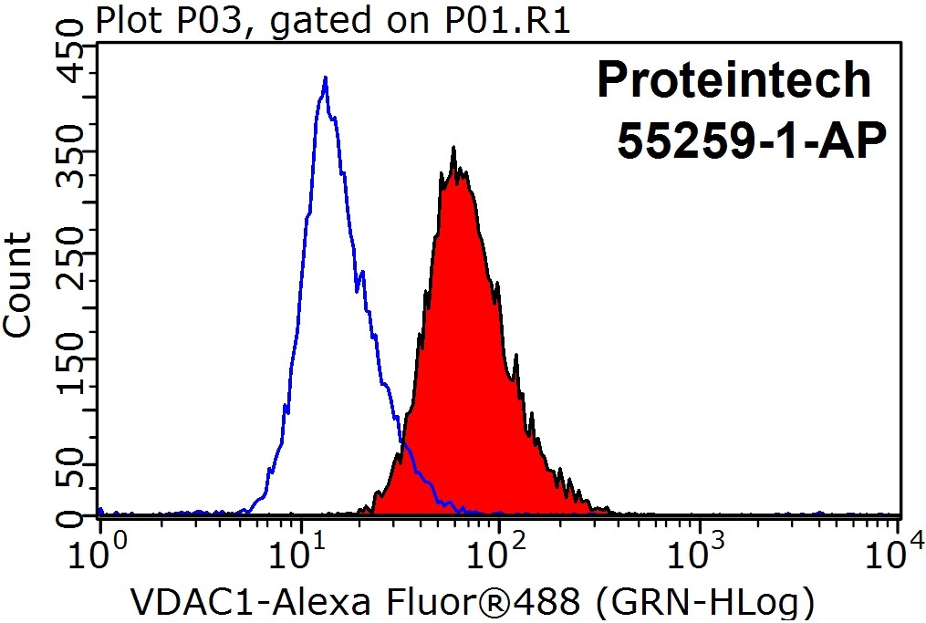 VDAC1/Porin Polyclonal antibody