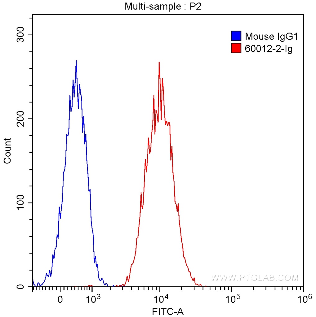 GRP94 Monoclonal antibody