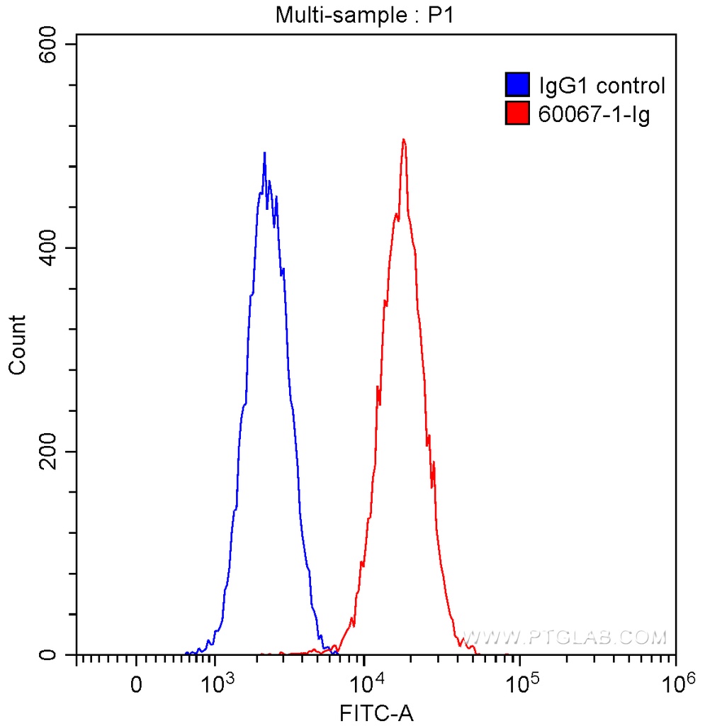 Neuropilin 1 Monoclonal antibody