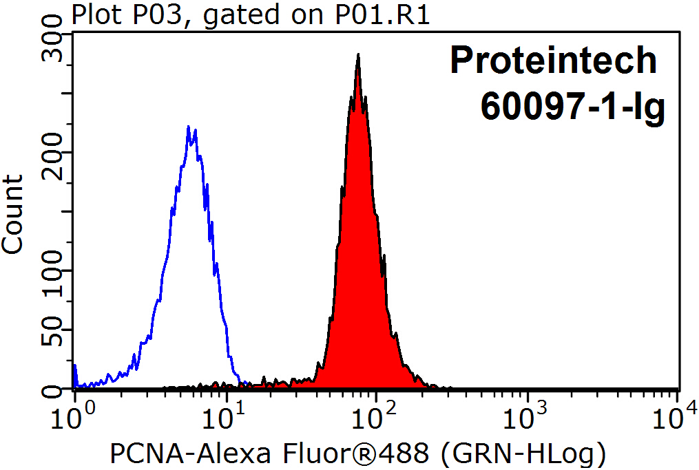 PCNA Monoclonal antibody