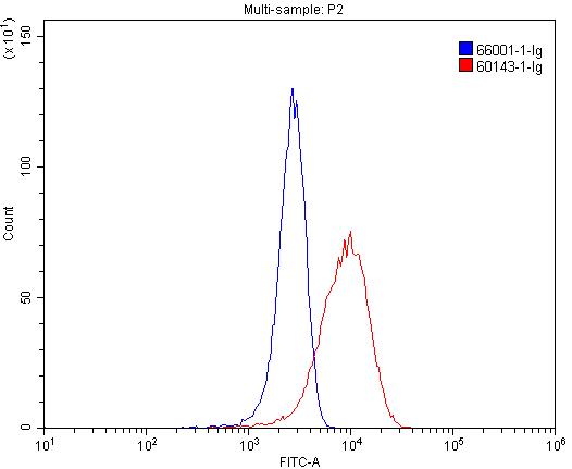 CD206 Monoclonal antibody