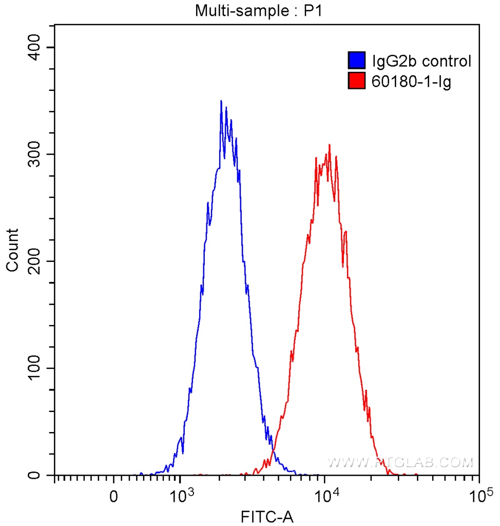 CD34 Monoclonal antibody